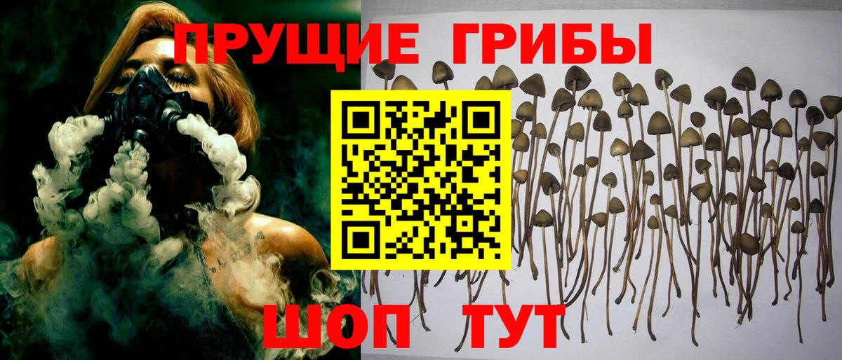 Карпинск  Галлюциногенные грибы GOLDEN TEACHER  Псилоцибиновые грибы Cubensis  Вход с VPN 
